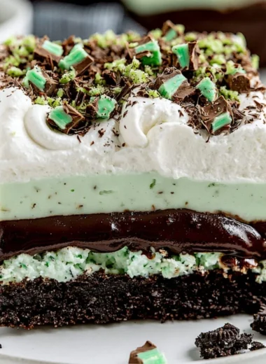 Delicious Chocolate Mint Lasagna with creamy layers and mint chocolate topping