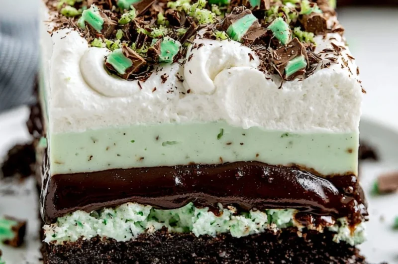 Delicious Chocolate Mint Lasagna with creamy layers and mint chocolate topping