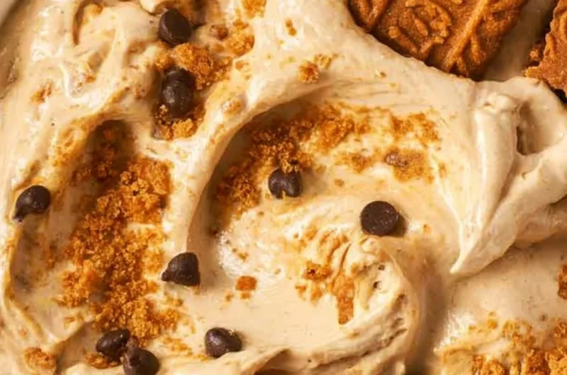 Delicious homemade Biscoff dip made with marshmallow fluff for fruits