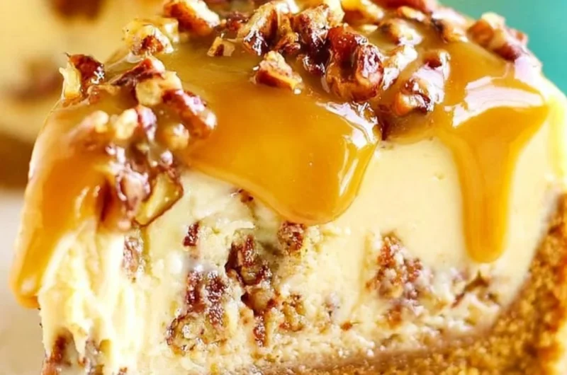 Delicious Pecan Praline Cheesecake topped with caramelized pecans